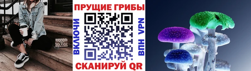 что такое   Свирск  Галлюциногенные грибы Cubensis 